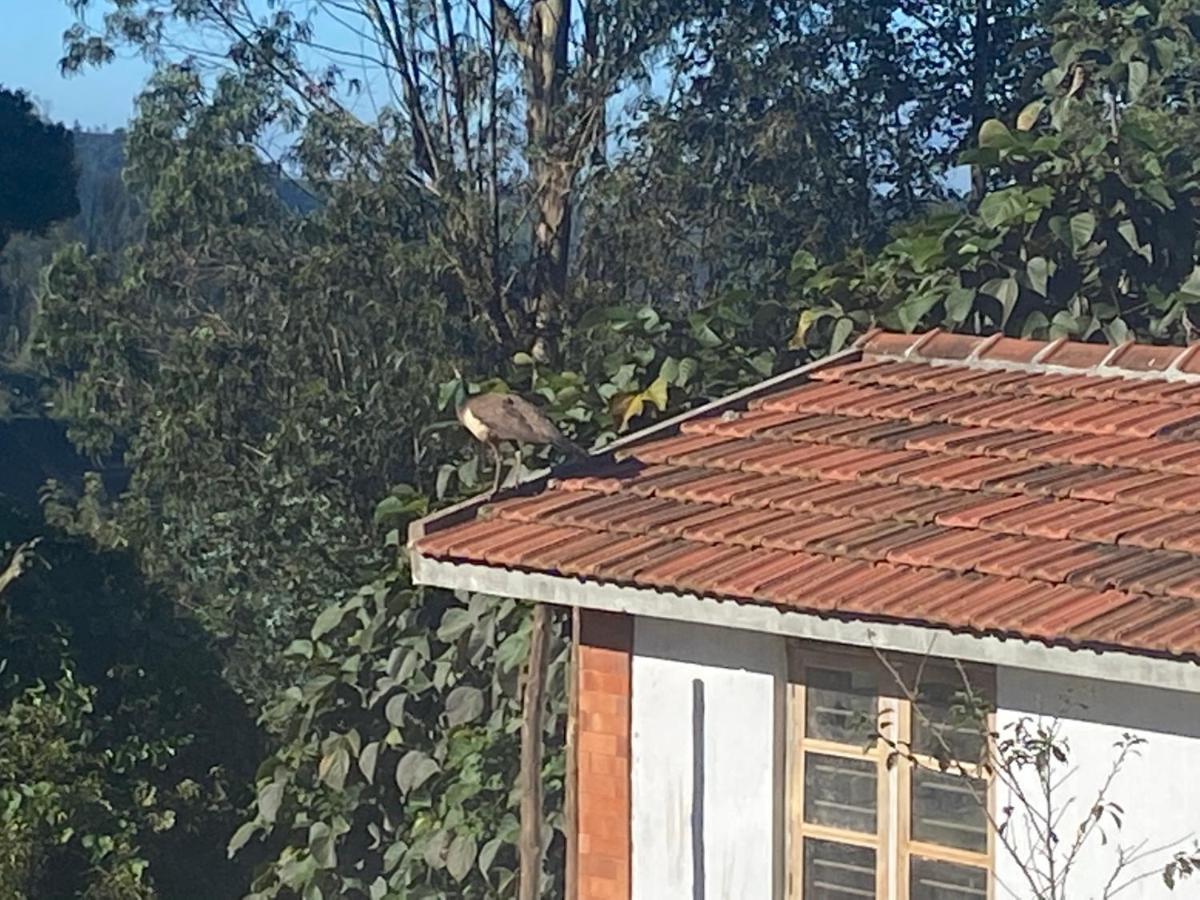 Kanjira House Ooty Bagian luar foto