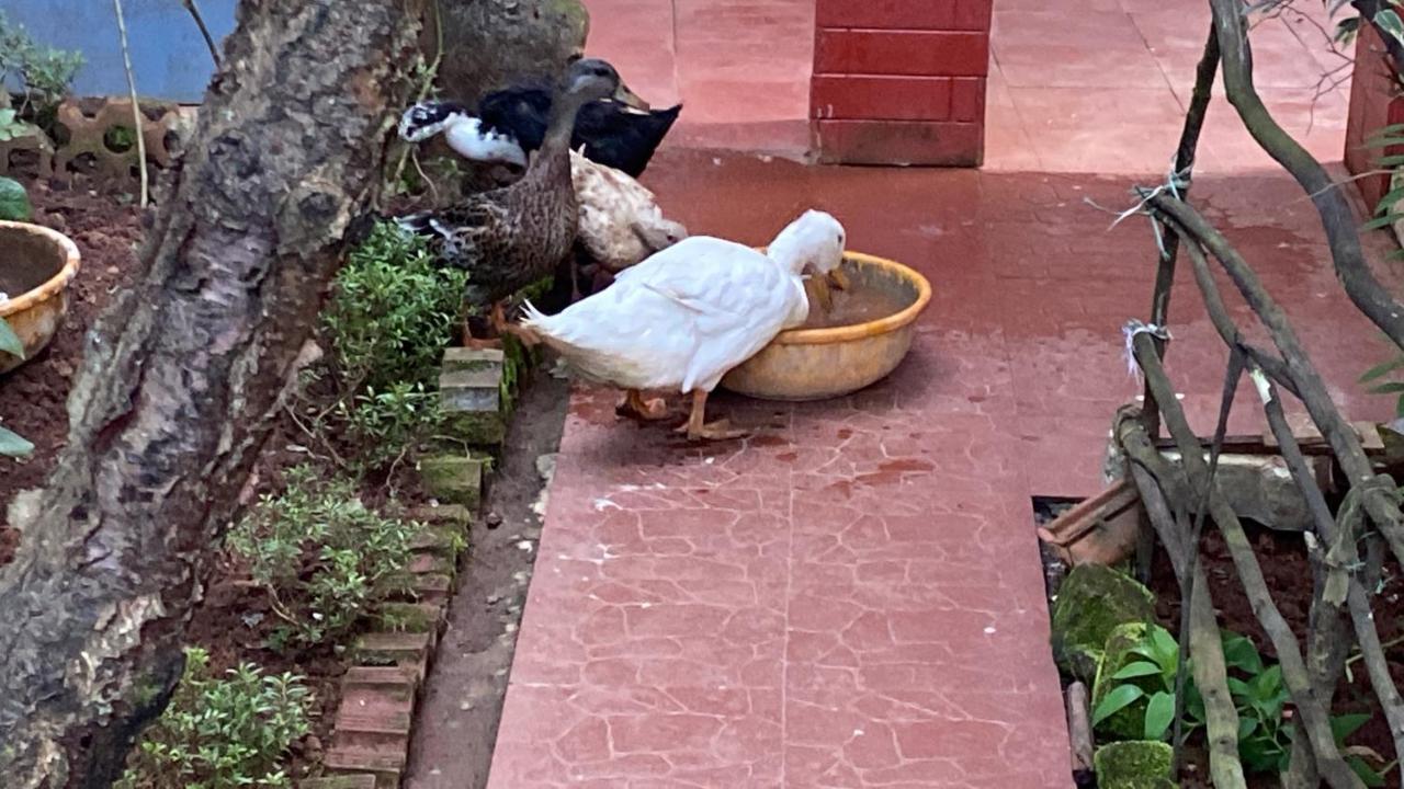 Kanjira House Ooty Bagian luar foto