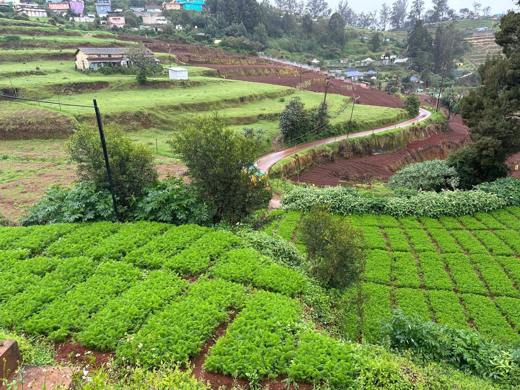 Kanjira House Ooty Bagian luar foto